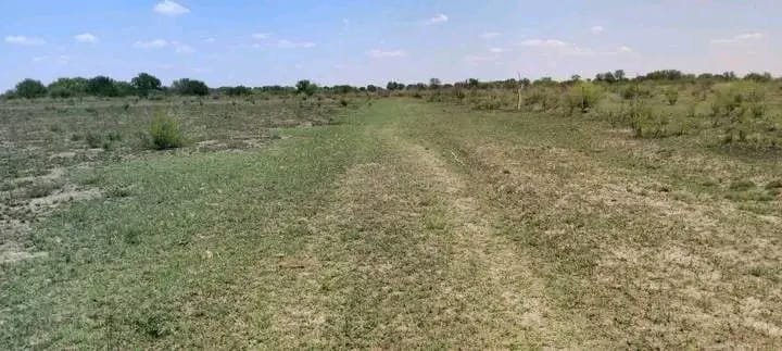 Commercial Property for Sale in Koppies Free State